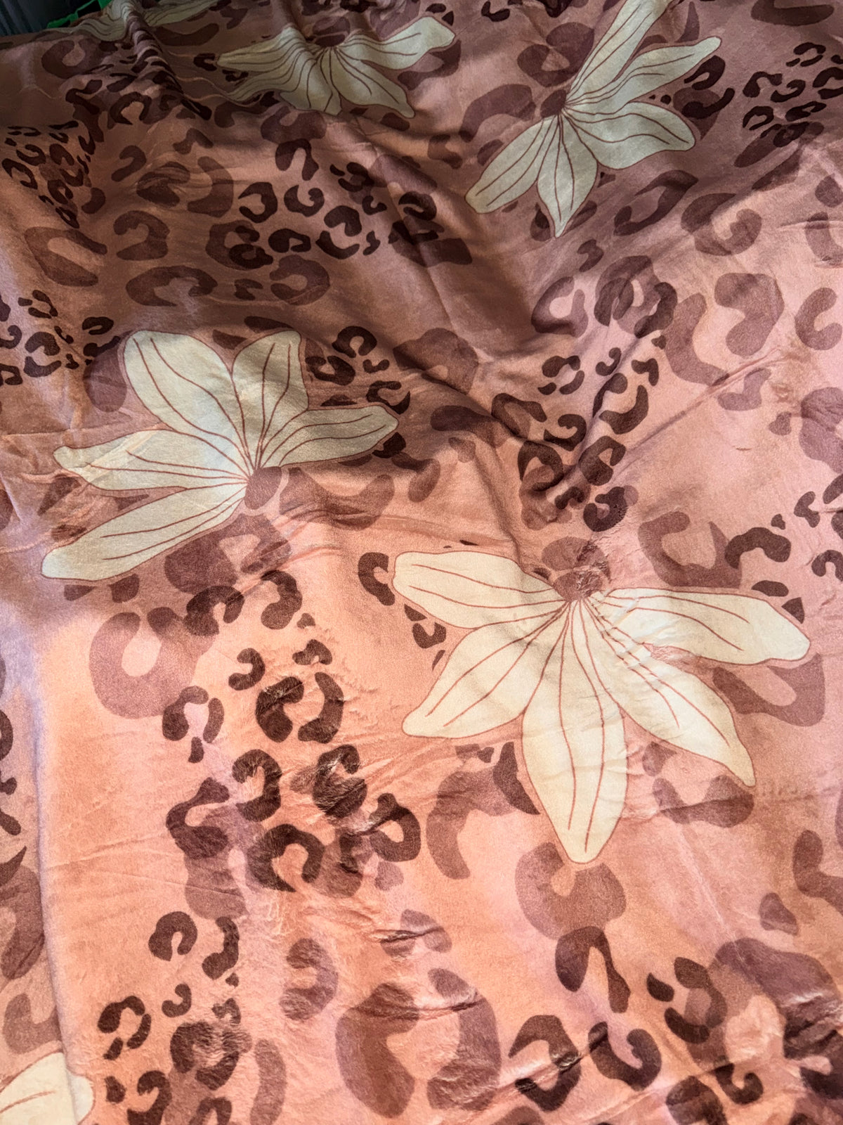 BLANKET LEOPARD NAUPAKA